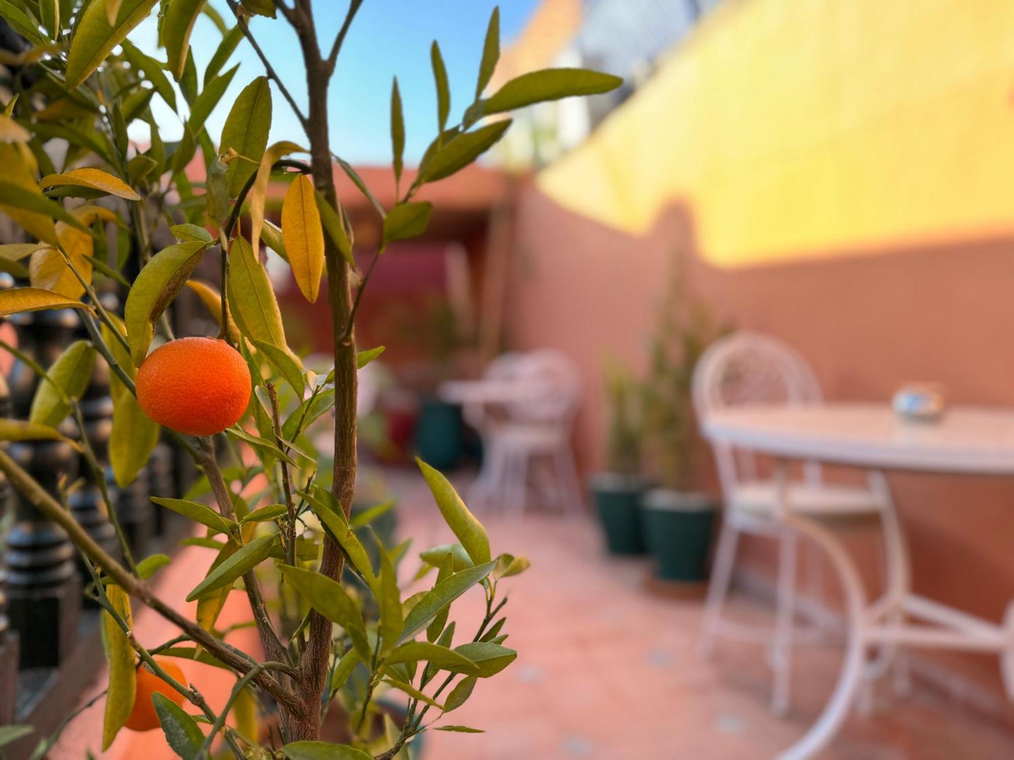 Riad Sanwa Marrakesh Buitenkant foto